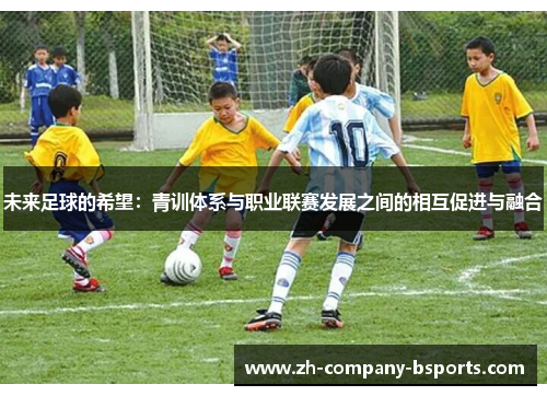 未来足球的希望：青训体系与职业联赛发展之间的相互促进与融合
